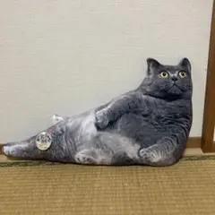 【新品タグ付き】リアルデブ猫クッション　約５０センチ　ねこ　ぬいぐるみ