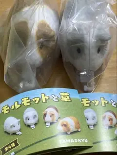 モルモットと草　茶ブチ　グレー　２点セット