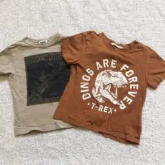 ダイノワールド 恐竜Tシャツ ベージュ　まとめ売り　100 ブリーズ　H&M