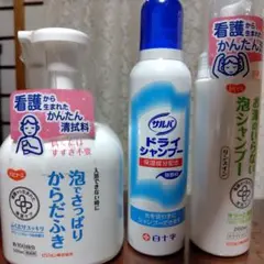 Item thumbnail for item ead7963f-2d2c-45ce-a875-53d0930f4ae0