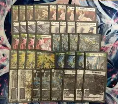 ゼロ緑ゼニス 零緑ゼニス