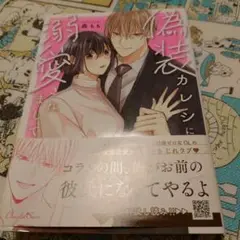 偽装カレシに溺愛されまして