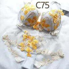 STUDIO FIVE スタディオファイブ⭐ブラu0026ショーツ C75 花様年華