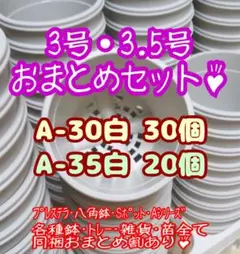 プラ鉢50個おまとめセット♪【A-30×30個・A-35×20個】プレステラ多肉
