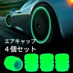 Item thumbnail for item cd0d2d22-f3cf-416b-919a-083553c53266