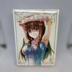 パラレルパラダイス(13)特装版 B