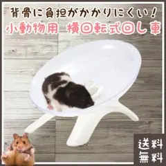 Item thumbnail for item 9e10154c-6718-41e9-8ac6-e7bf00dc533d