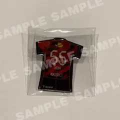 鹿島アントラーズ 植田直通選手 プレイヤーズピンバッジ