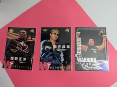 BBM 2000 プロレスカード 蝶野正洋・望月・堀田まとめ売り