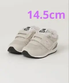 Item thumbnail for item 3531ec1d-2e06-428a-a045-f3bcfc51e931