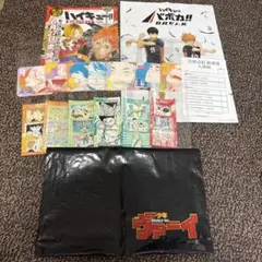 ハイキュー　ファンパークグッツ