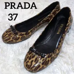 Item thumbnail for item fd85945b-f6a2-4496-8ede-3534ca25a704