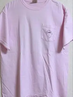 Comfort Colors ピンクTシャツ Bboy B系 L