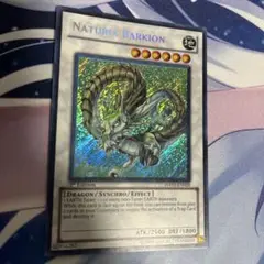 遊戯王　ナチュルパルキオン　英語　米　シク　シークレット
