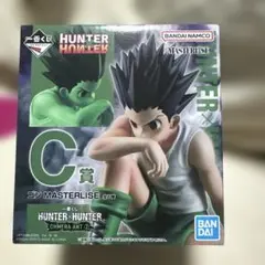 HUNTER×HUNTER ゴン C賞 フィギュア