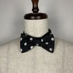 Item thumbnail for item bd333db1-db67-4ceb-8624-dda4b17419a0