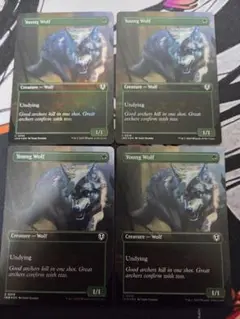 MTG 若き狼 ボーダーレス　foil