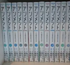 アンメット ‐ある脳外科医の日記‐ 1～13巻