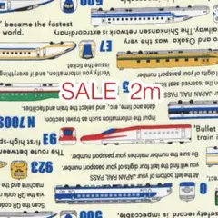 SALE 2m 新幹線 アイボリー オックス