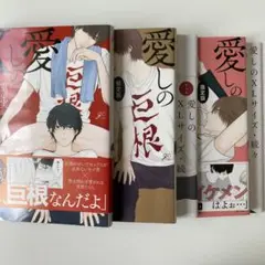 愛しのXLサイズ / 重い実　3冊セット