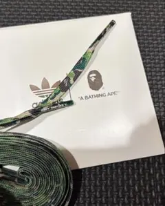 Item thumbnail for item 550bcd04-2c90-42d6-aef7-39fb8d879462