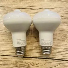 人感センサー付きLED電球 2個セット 自動点灯 消灯 E26