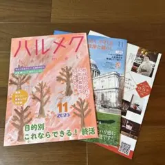 Item thumbnail for item 8c22cfec-7b99-4fb9-8caa-cbc279901848