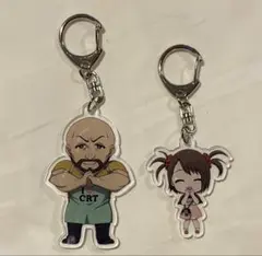 STEINS;GATE シュタゲ Mr.ブラウン シスターブラウン