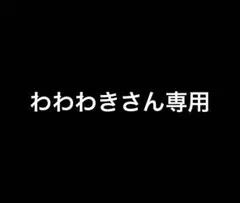 わわわきさん専用