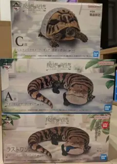 爬虫類＆両生類　一番くじ A賞 C賞 ラストワン賞 アオシタトカゲ リクガメ
