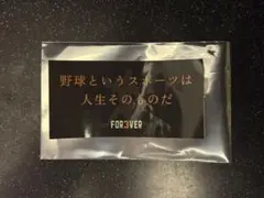 長嶋茂雄追悼試合　記念ステッカー
