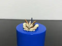 ポケモンクリッピングフィギュア ムーランド 美品
