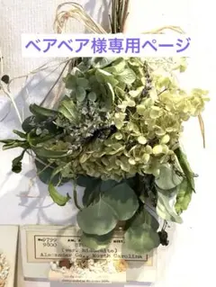 No.048 【SALE】アナベル ドライフラワー ナチュラル ミニスワッグ