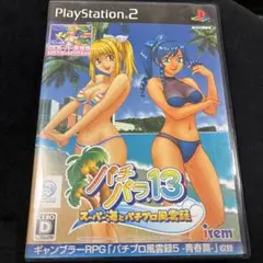 【初回特典付き】パチパラ13 スーパー海とパチンコ風雲録