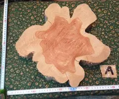 Item thumbnail for item e5d68d78-a14e-4fa0-9512-a84c141e5e0d