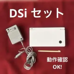 ニンテンドーDSI ホワイト 箱 タッチペン 充電器付き