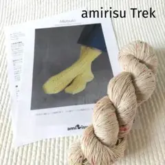 手編みソックス「Mebuki」キット/手染めTrek限定カラー/アミリス