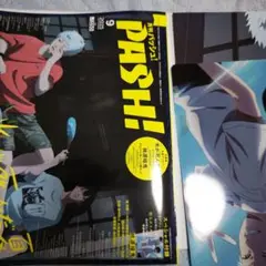 月刊 PASH! 9月号 付録付き