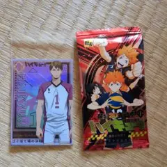 Item thumbnail for item a17150d9-7de8-4eeb-8e17-6b6cb20cbd39