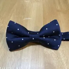 Item thumbnail for item b5dbee6e-1f91-4553-8d2f-f650268b25ee