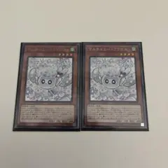 マルチャミーフワロス　2枚