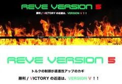 希少 REVE VERSION 5 エミリッドバハマスリーブ付き 美品