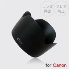 Item thumbnail for item ffe2796e-61f5-4db1-8e84-56ef23258147
