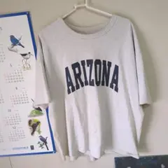 ARIZONAプリント ヘビーウェイトビッグシルエットグレーTシャツ