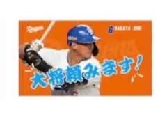 新品 中日ドラゴンズ シークレットタオル 中田翔