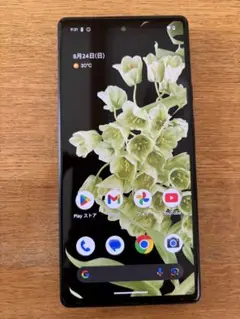 Google Pixel 6 本体