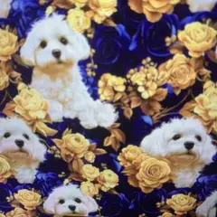 Item thumbnail for item 8846d8cf-0364-43d1-a9a6-31a836eab00f