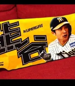 阪神タイガース 熊谷選手 シークレット フェイスタオル 応援グッズ