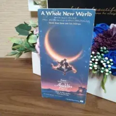 A Whole New World CD アラジン