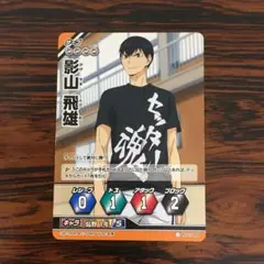 3601 影山 飛雄 ハイキューバボカ ハイキュー